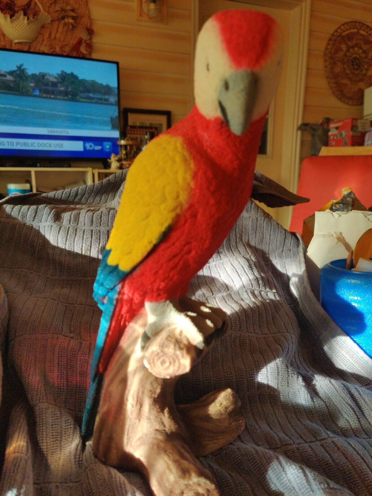 Colorful Parrot Sandstone Art
