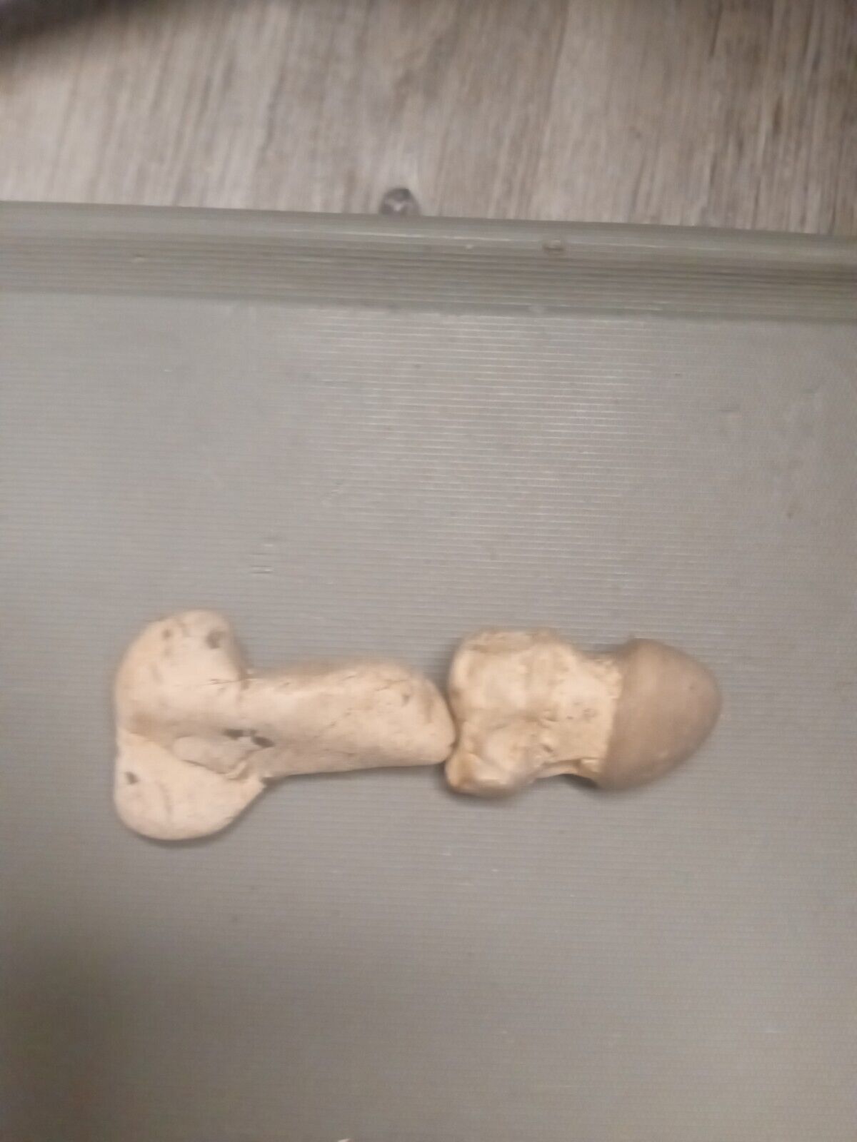 penis shaped, excellent condition, naturally formed no man made touches,