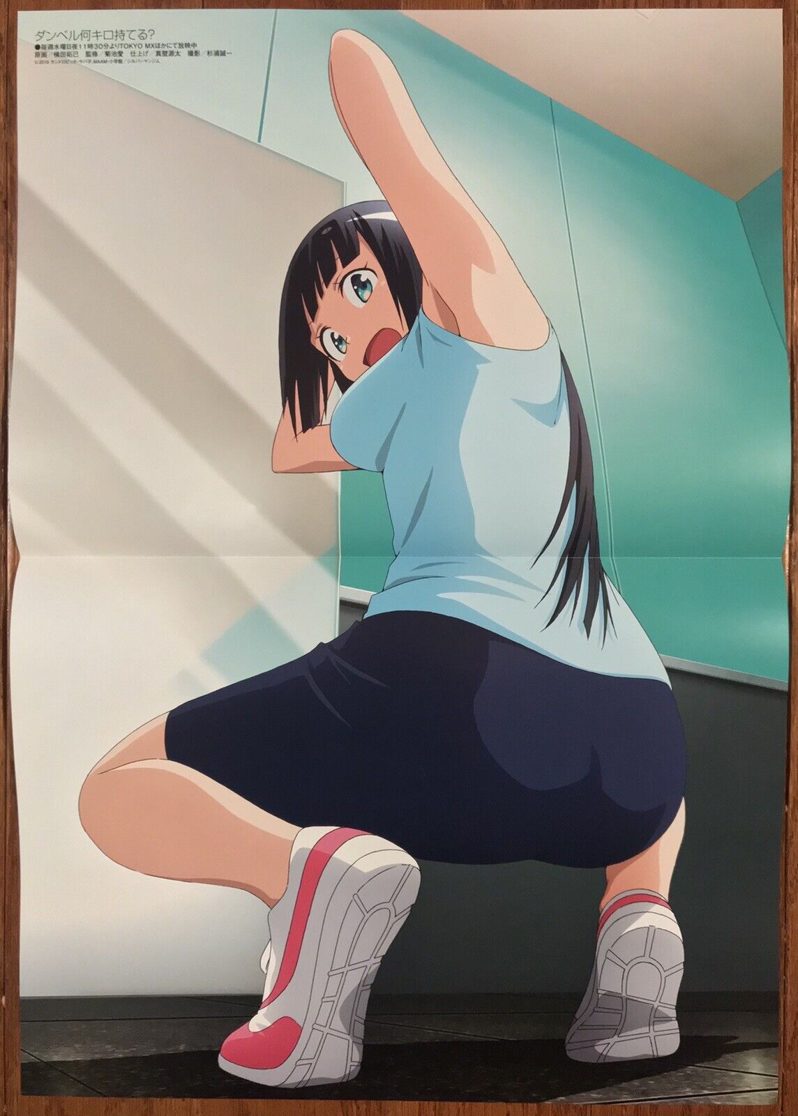 Double Sided Anime Poster: How Heavy are the Dumbbells you Lift, Re Stage