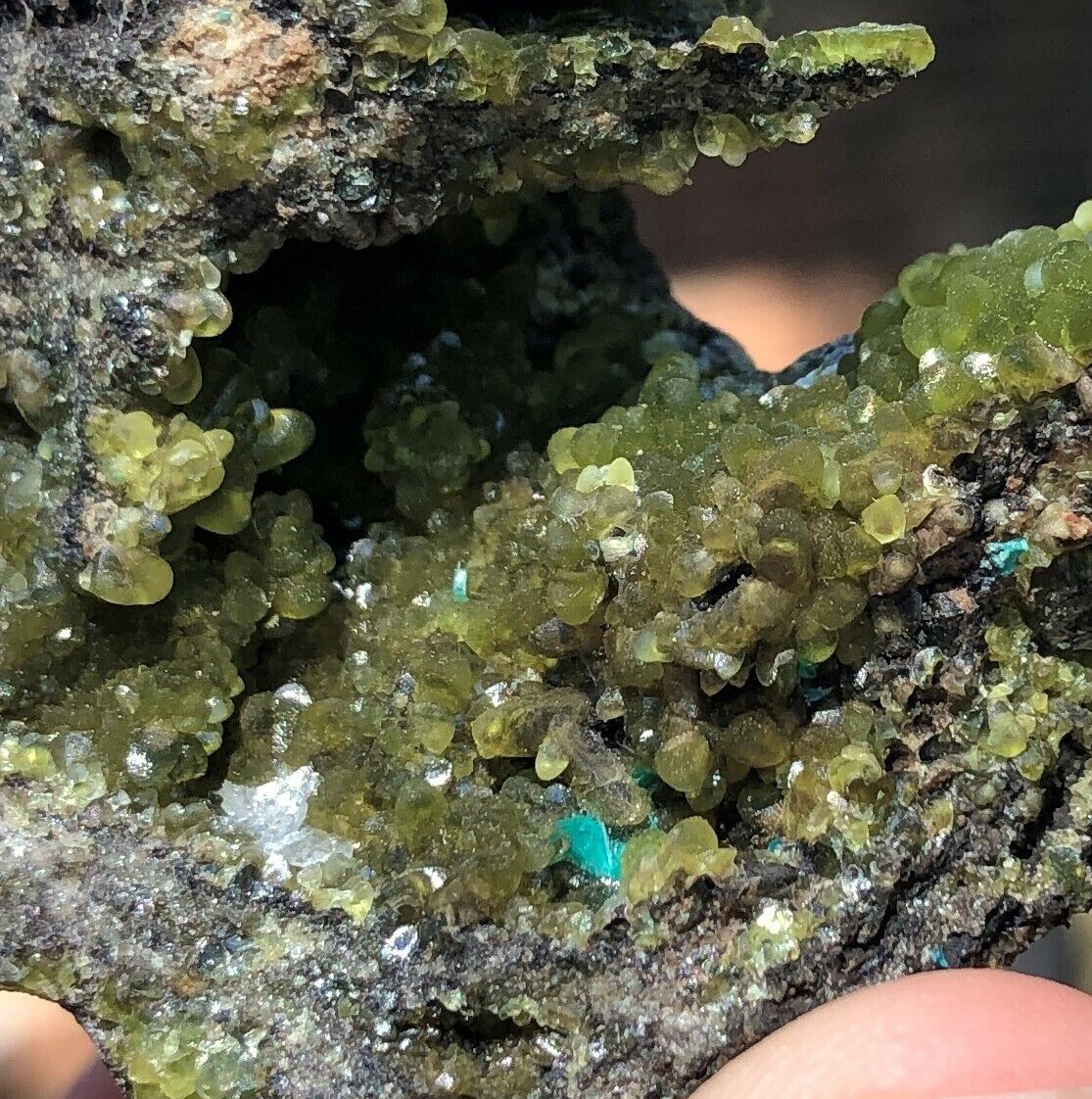 Fantastic Green Smithsonite with Aurichalcite, Pinal County, Arizona