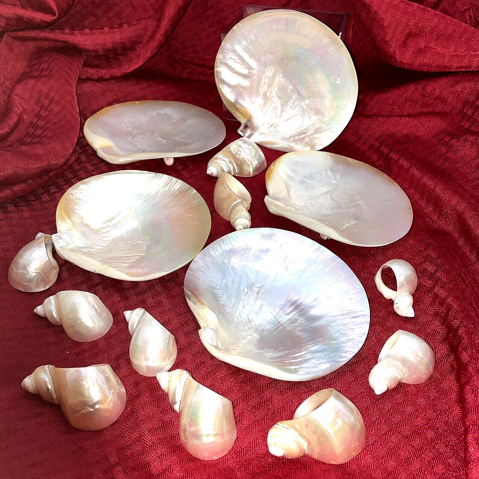 MOTHER OF PEARL FOOTED CAVIAR DISHES AND NAPKIN RINGS - 15 PIECES