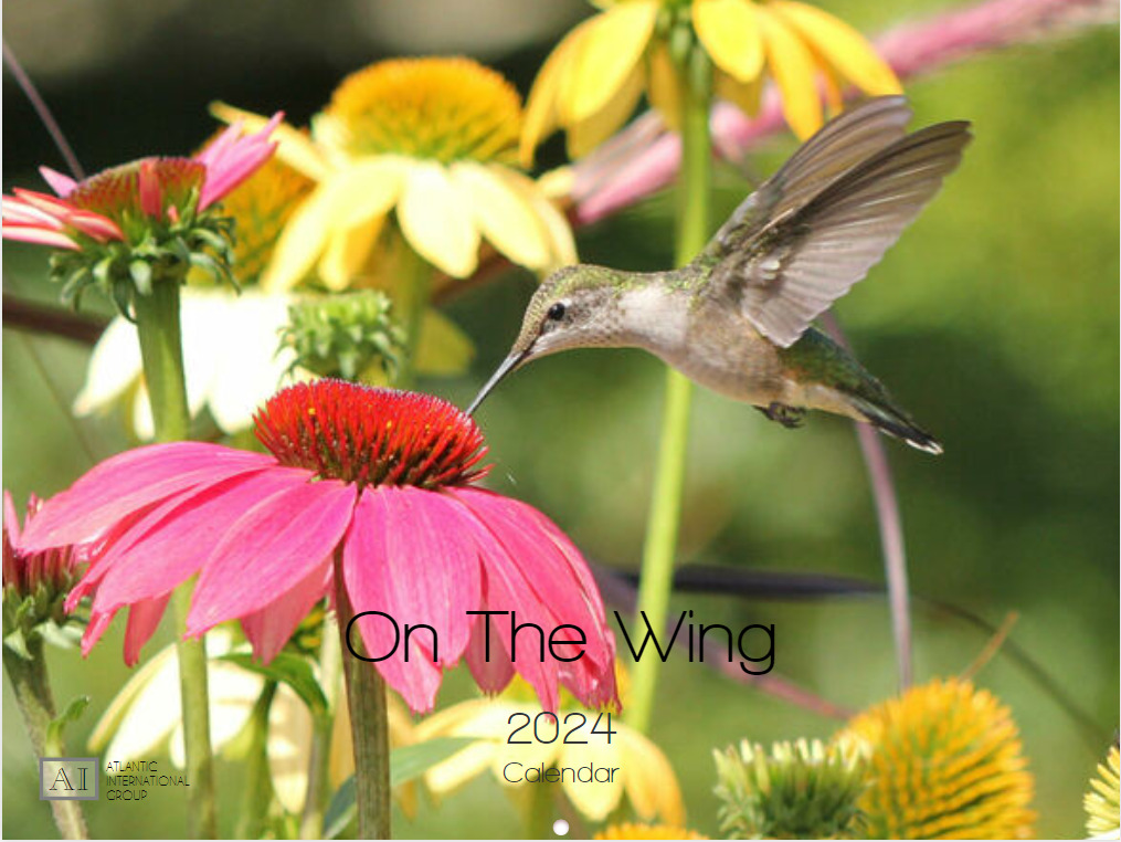 2024 Bird Wall Calendar - On the Wing