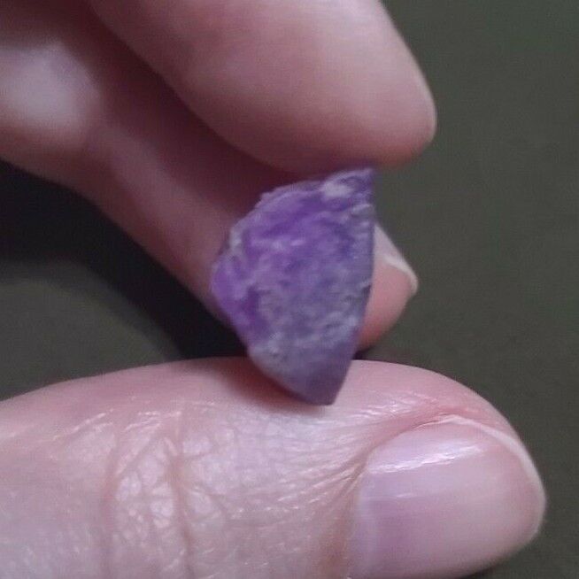 Sugilite GEL Rough Purple, Fuchsia, Lavender - 8.60 ct / 1.72 Grams