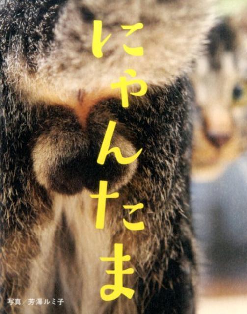 Nyantama Cat Testicles Photo Book JAPAN