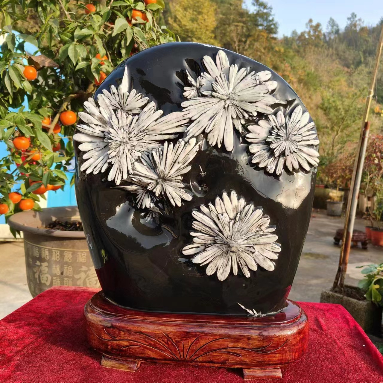 55LB Natural Chrysanthemum Stone Quartz Carved Halo Therapy Gift