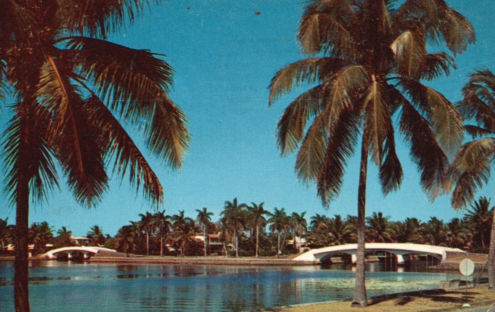 Postcard FL Fort Lauderdale Arched Bridges Span Waterways 1958 Vintage PC b8685