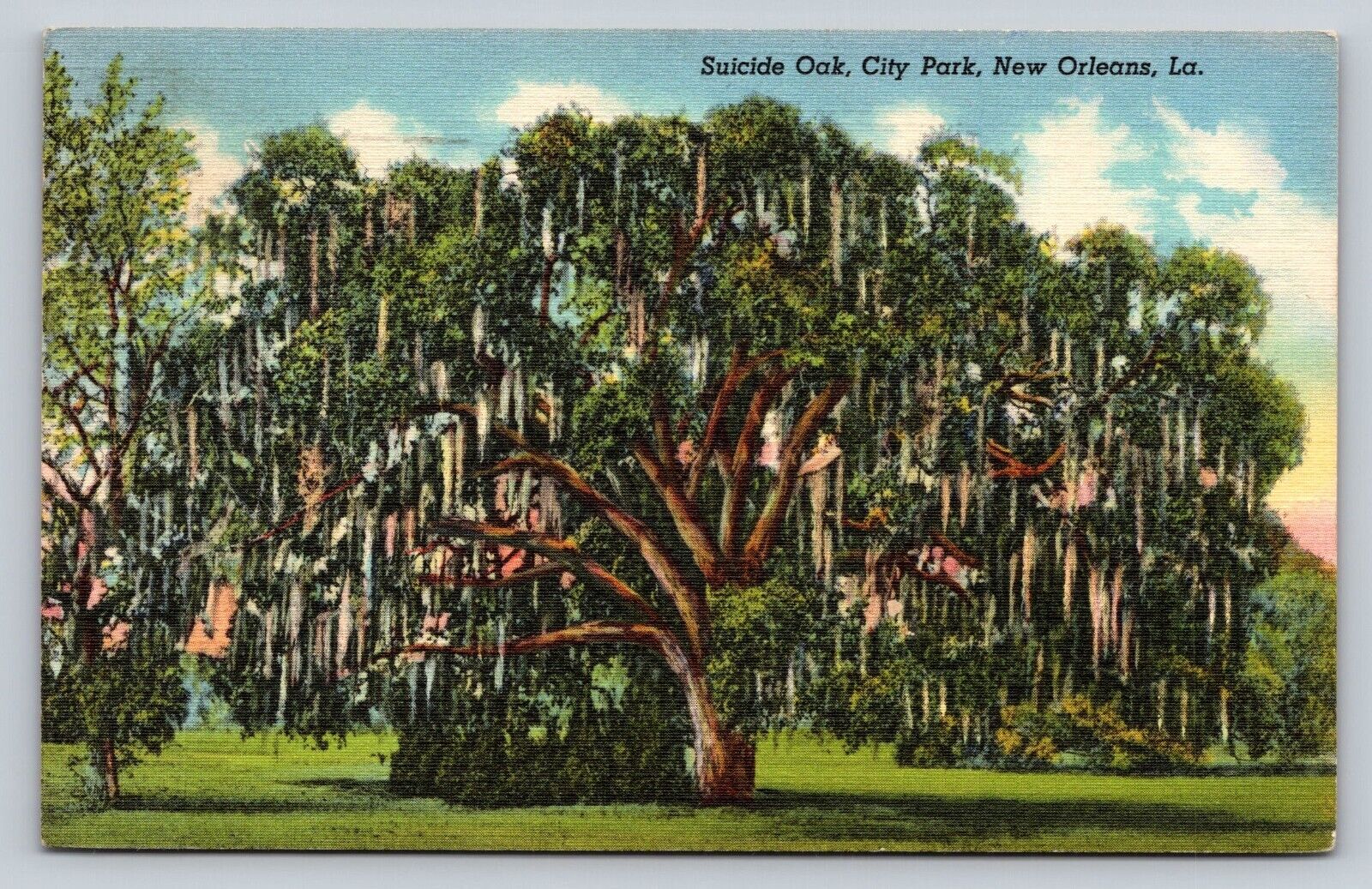 Suicide Oak City Park New Orleans LA Ghostly Hangings Tree 1947 Linen Postcard