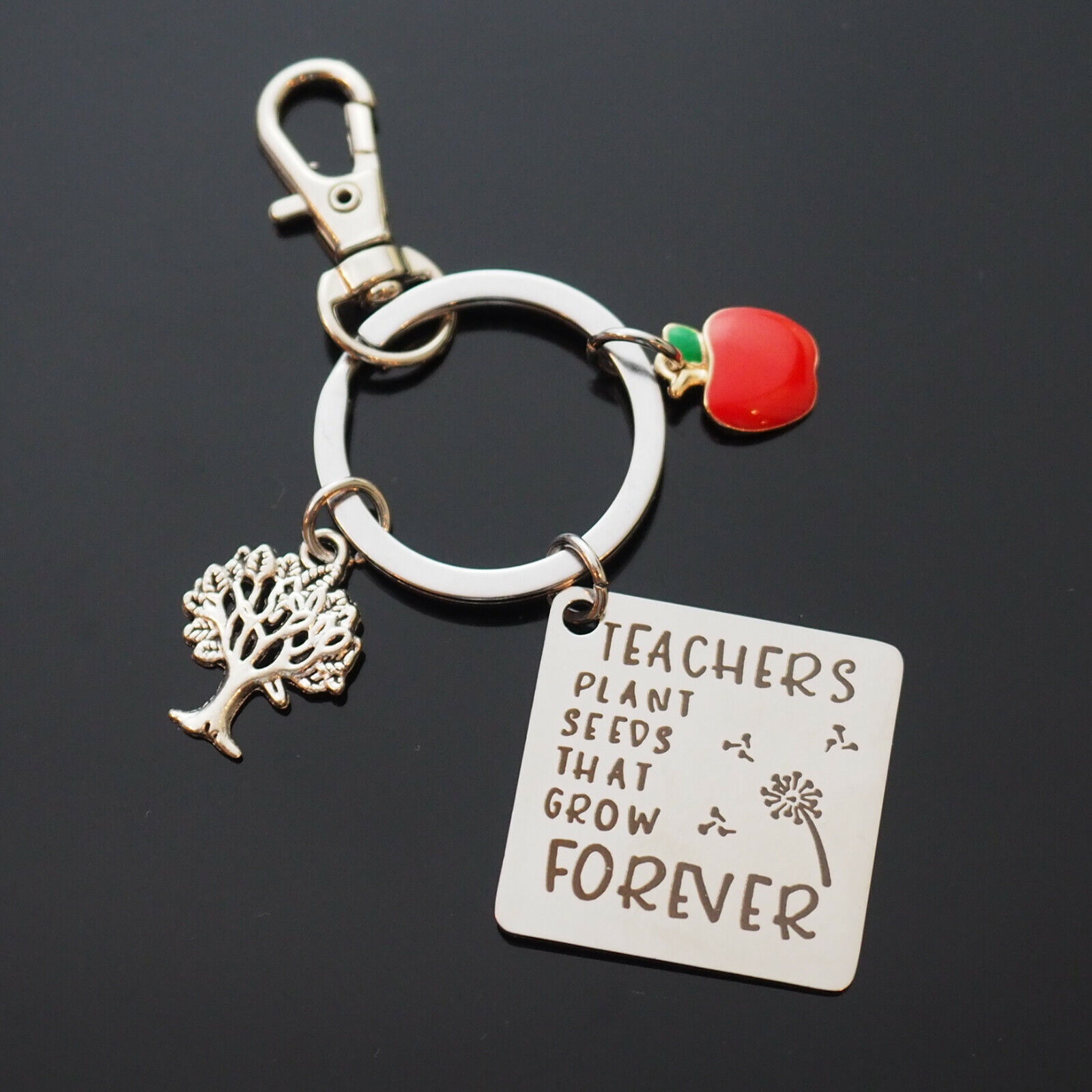 Teachers Plant a Seed Tree Forever Keychain Key Ring Apple Charm Thanks Gift