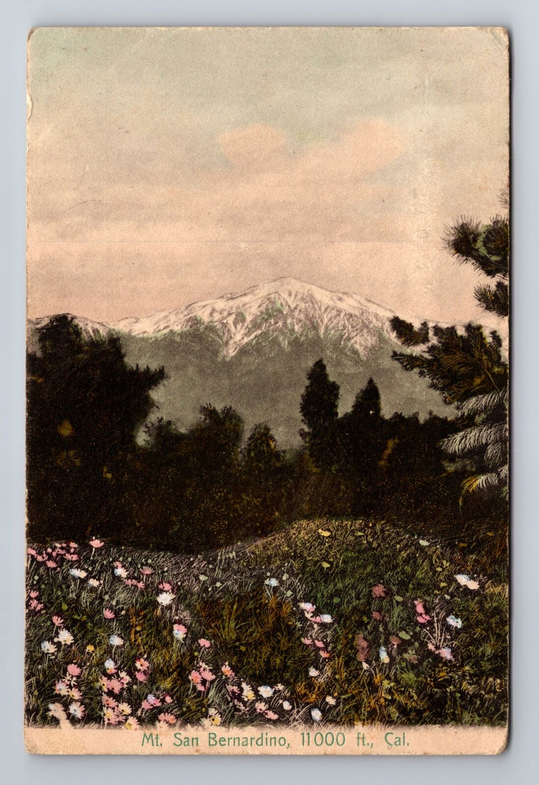 CA-California, Mount San Bernardino, Antique, Vintage Postcard