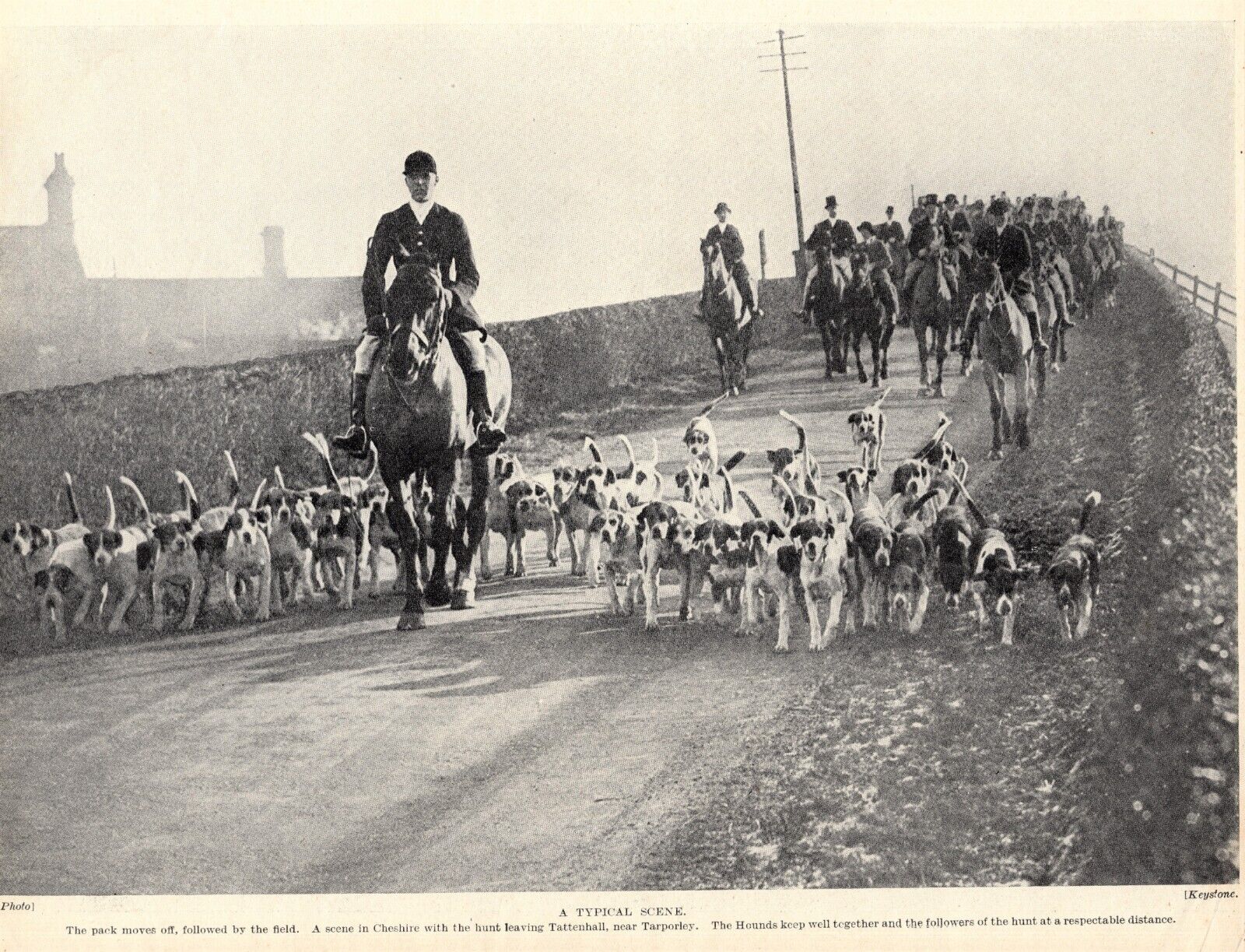 1930s Vintage Foxhound Print Cheshire England Hunt Leaves Tattenhall 4741v