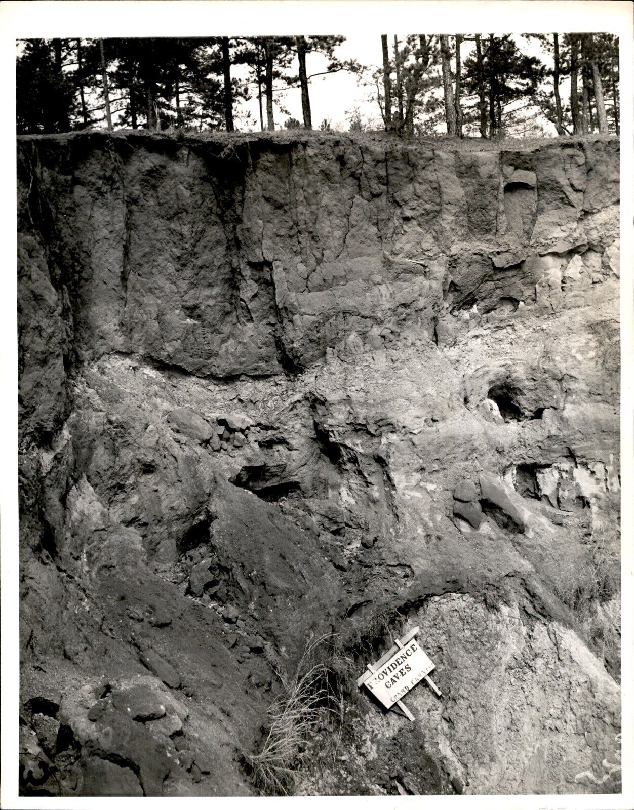 LD311 1937 Original Photo PROVIDENCE CAVES SOIL EROSION GRAND CANYON OF GEORGIA