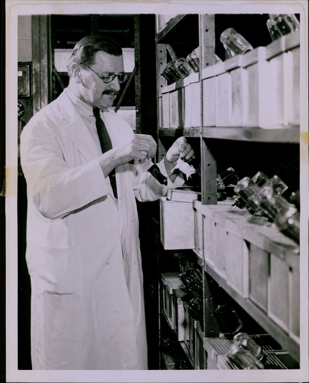 LG772 1940s Original Photo ANTON SAMUEL Scientist in Laboratory Lab Mice Animals