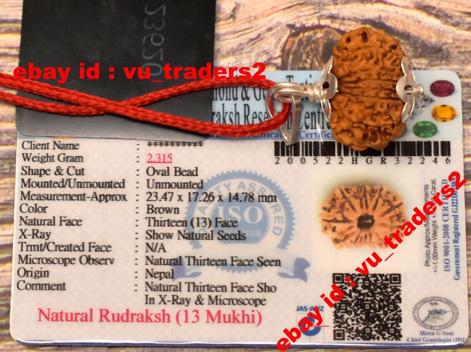 13 Mukhi Rudraksha / Thirteen Face Rudraksh Nepal Bead Lab Certified 23.47 MM