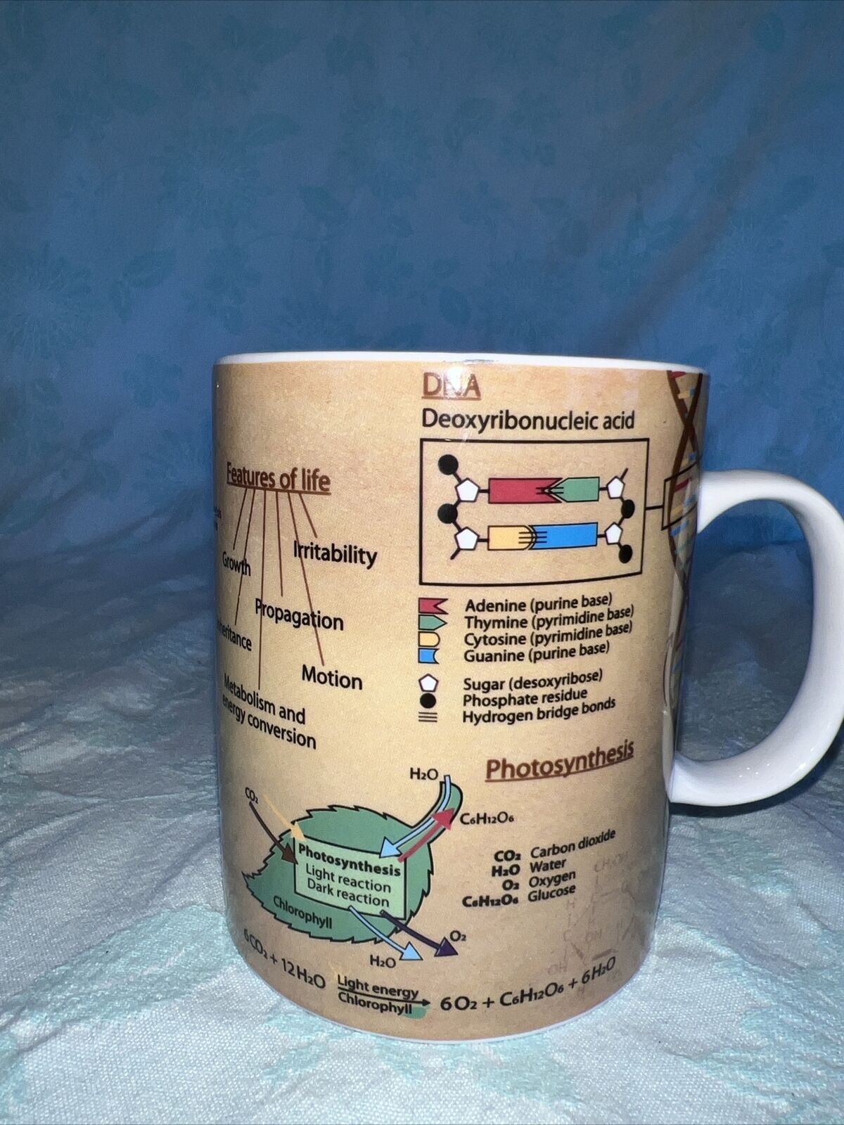 Konitz Biology Coffee Mug Cup Cells Evolution DNA Photosynthesis 