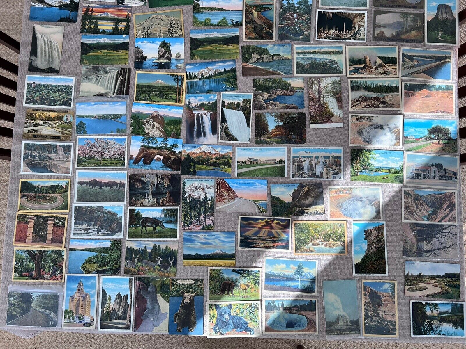 75 OLDER POSTCARDS COLORTONE STYLE MOSTLY NATURE SCENES & PARKS ANTIQUE TO 1950s