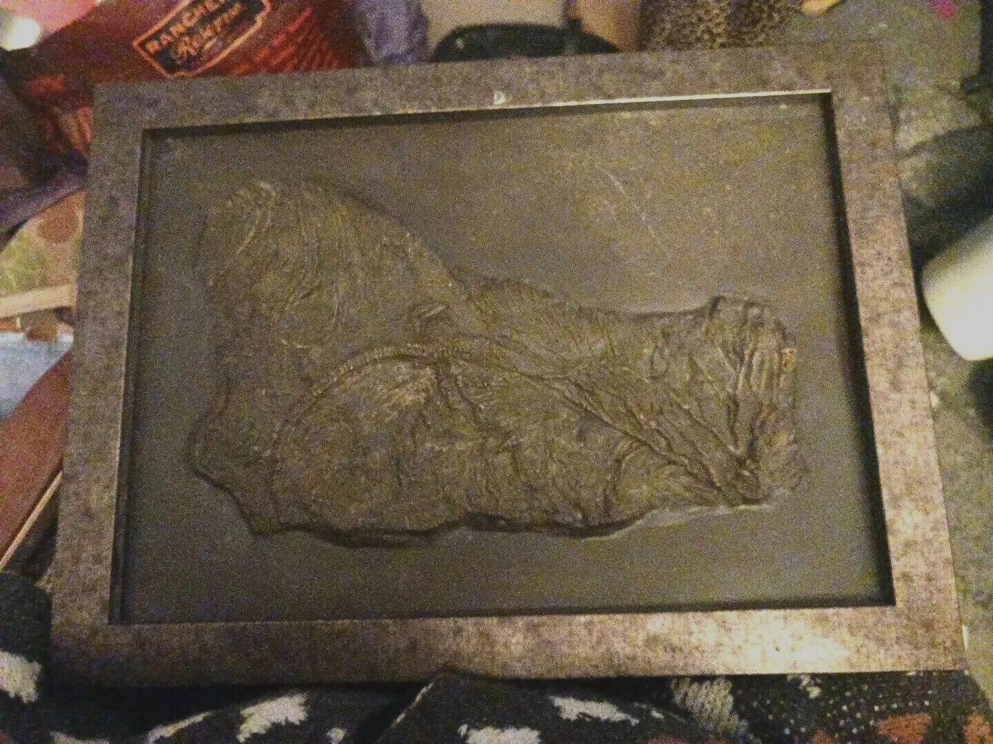 English Crinoid Framed Fossil