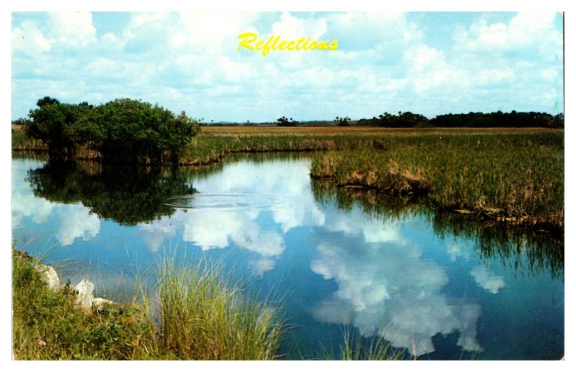 Chrome Postcard Reflections Wetlands Landscape 1962 Dexter Press