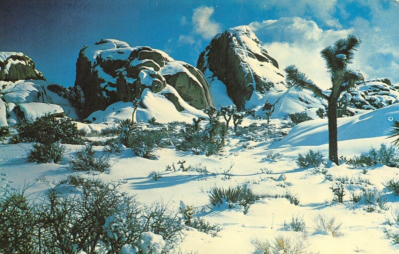 Postcard CA Mojave Desert Jumbo Rocks Campground in the Winter California