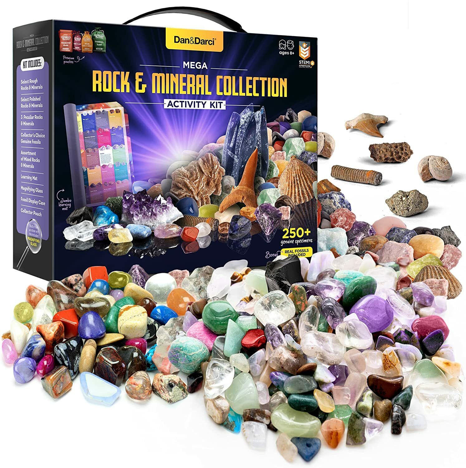 Rock Fossil Mineral Collection Activity Science Kit Kids Children Toy Gift Gems
