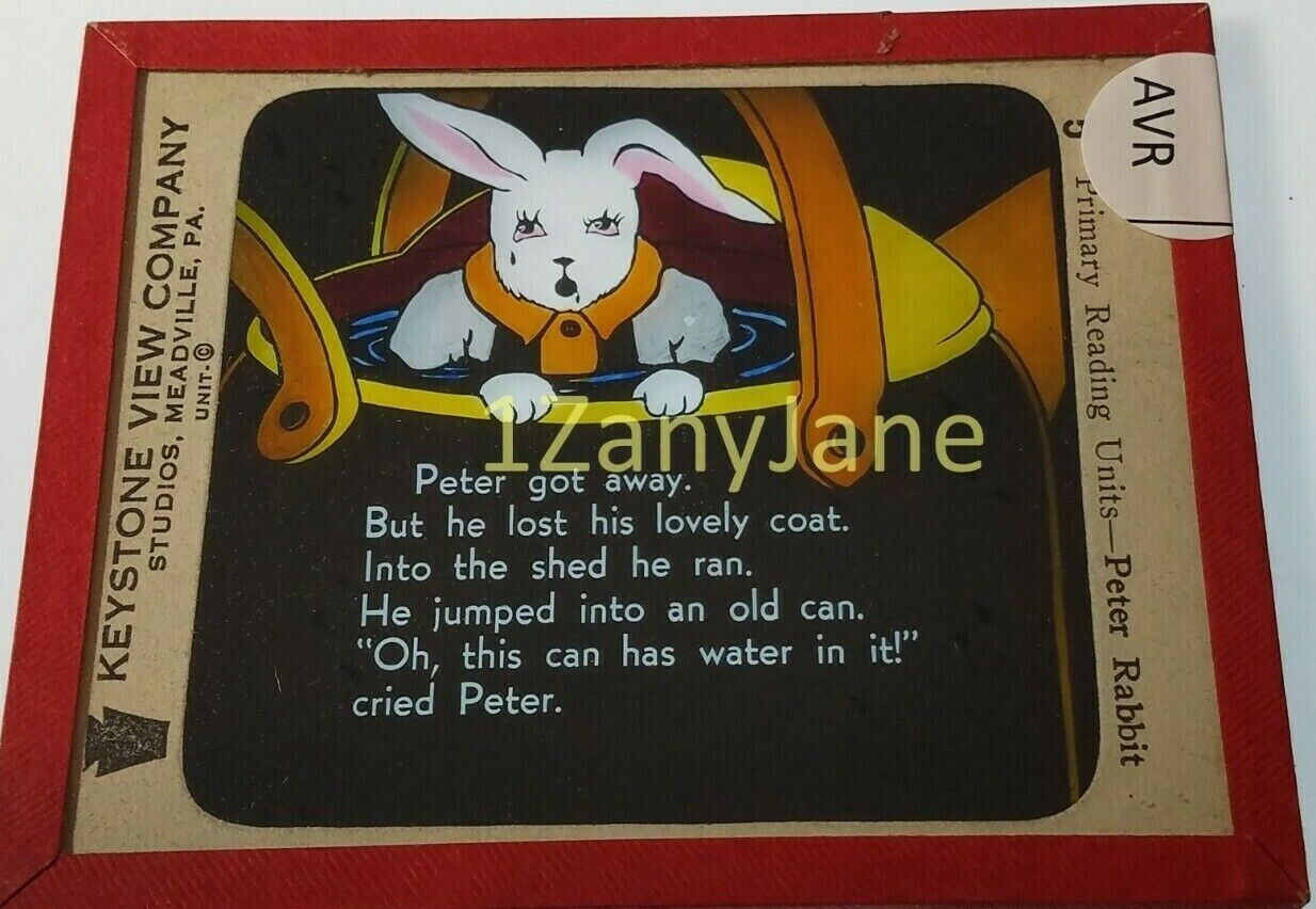Colored Glass Magic Lantern Slide AVR PETER RABBIT LOST HIS COAT CAN WATER