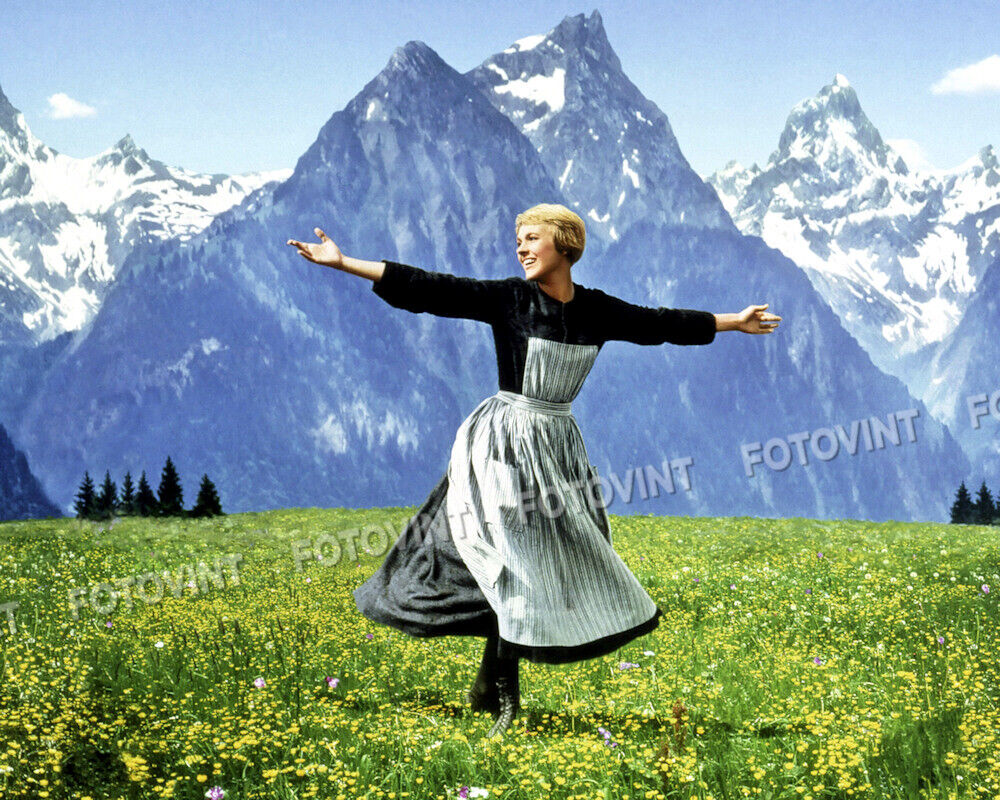 The SOUND OF MUSIC Photo Picture JULIE ANDREWS Maria  8x10 11x14 or 11x17 (SM2)