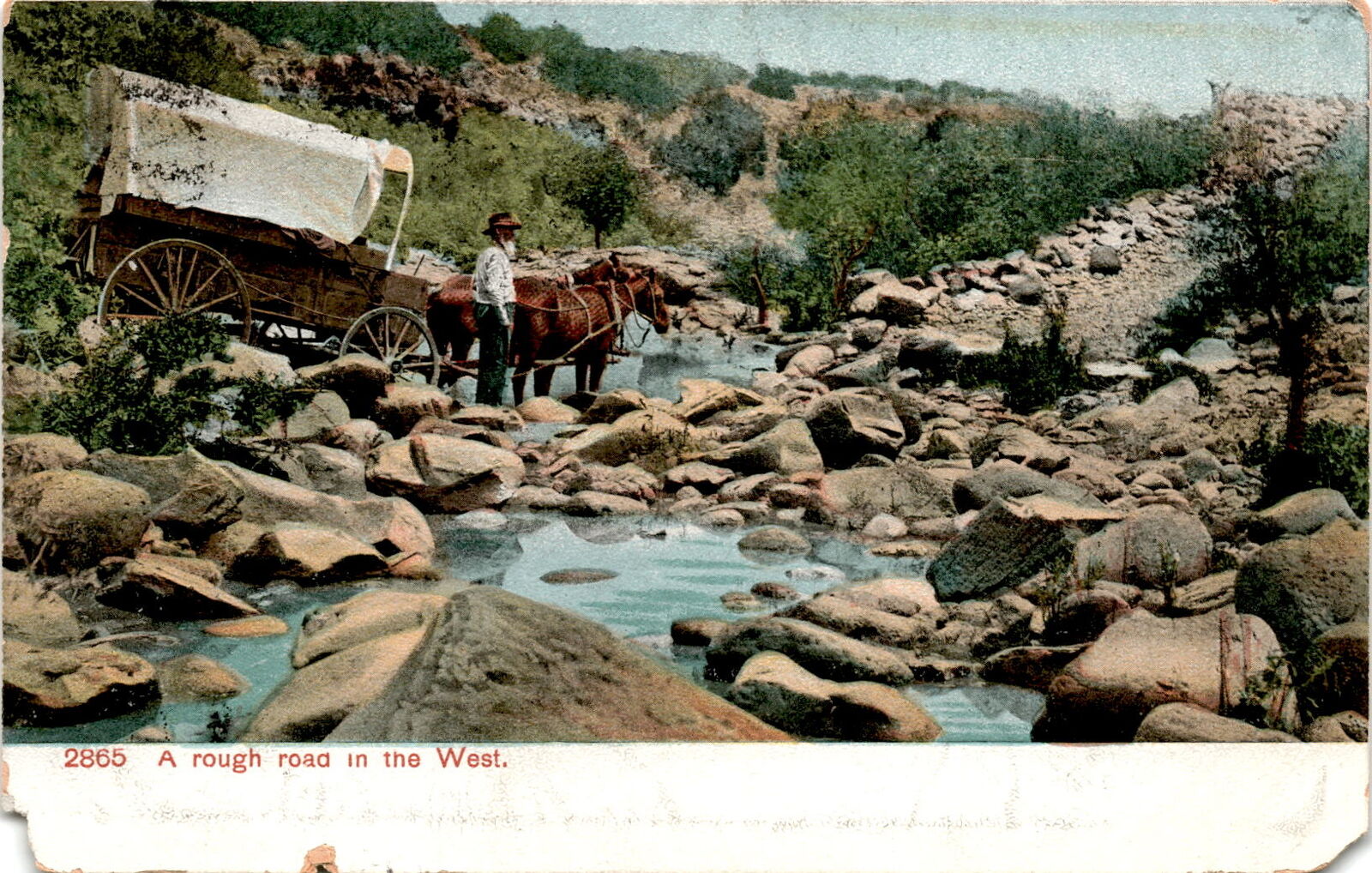 West, ranchers, January 15, 1908, Lockport, New York, J Postcard