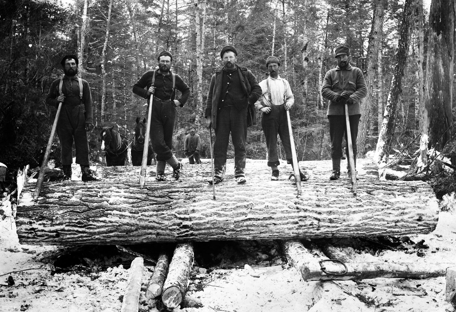 1880-1899 The Loggers, Michigan Old Photo 13\