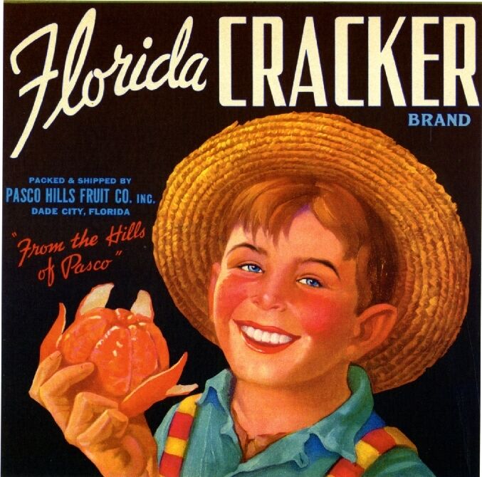 Dade City Florida Cracker Boy Orange Citrus Fruit Crate Label Vintage Art Print