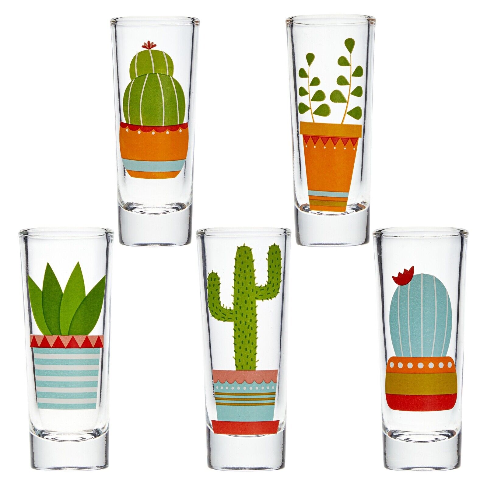 5 Pack Shot Glasses Set with Cactus Designs for Bachelorette Party, 2 Oz