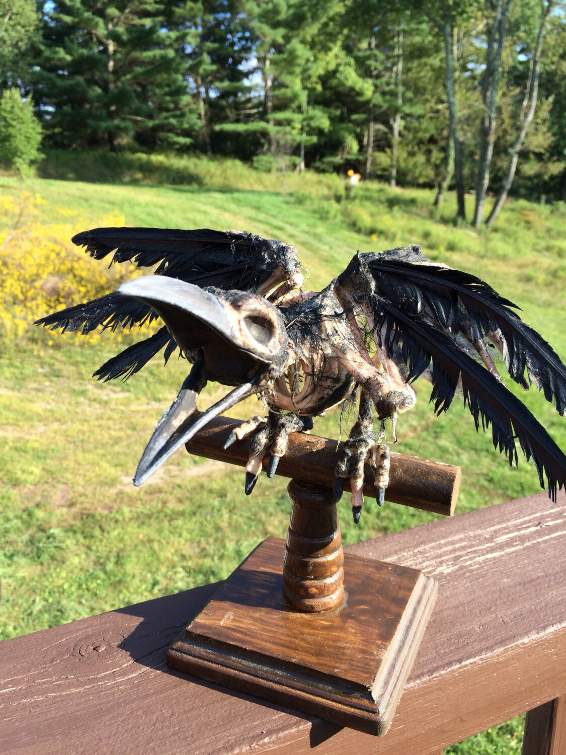 Raven Skeleton Prop On A Rustic Wooden Perch