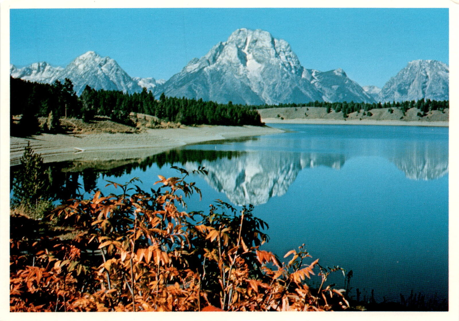 Grand Teton National Park, Wyoming, Mt. Moran, Jackson Lake, Seaich Postcard
