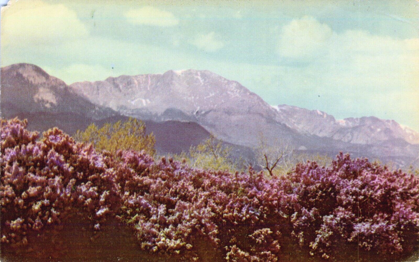 Postcard Pikes Peak in the Springtime, Above Sea Level, Colorado, Mt View, RP M5