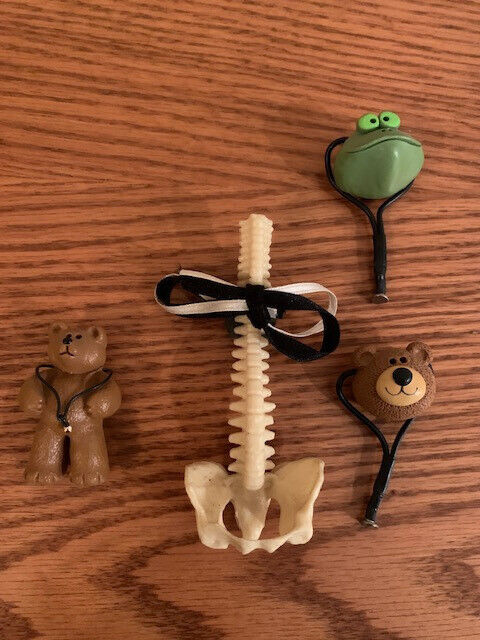 Funny Doctor magnets 2 bears, a frog, and vertebrae 