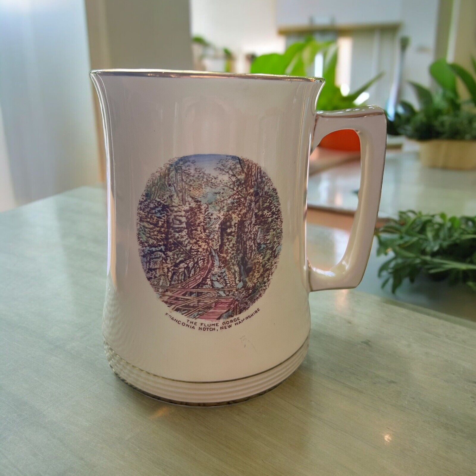 Vintage Royal Winton ‘The Flume Gorge’ Franconia Notch, NH Souvenir Mug 