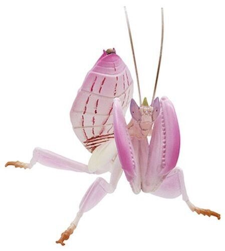 Mimicry Insect 1/1 Scale Figure Walking Flower Mantis Takara Tomy Japan