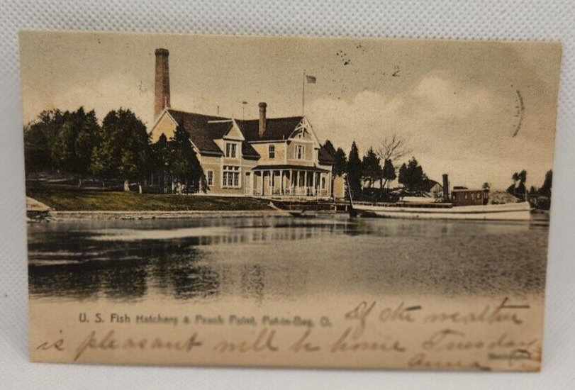 Fish Hatchery Put-In-Bay, Ohio c1906 Stamped Lithograph Undivided Back