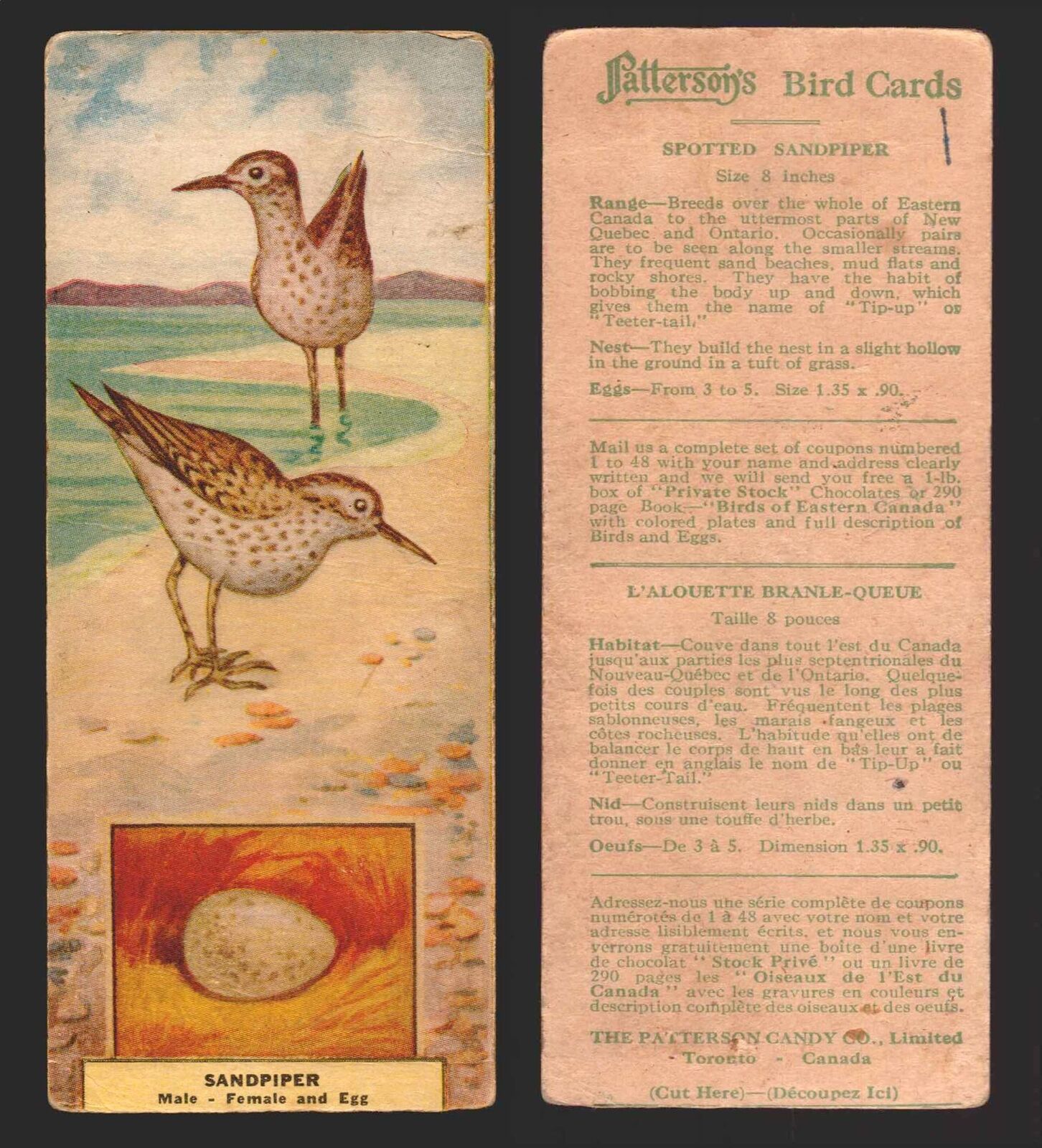 1924 Patterson\'s Bird Chocolate Vintage Trading Cards U Pick Singles #1-46