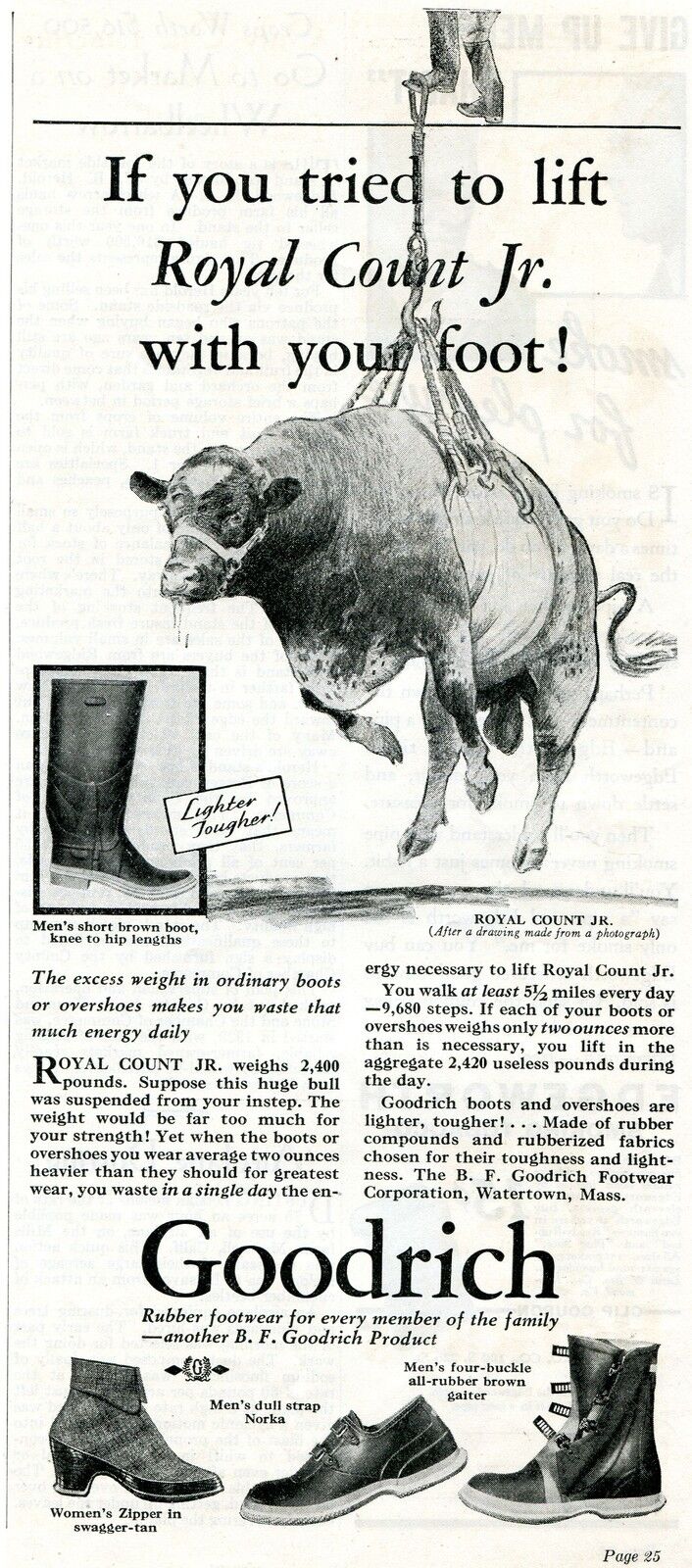 1931 Print Ad of BF Goodrich Boots with Bull Royal Count Jr