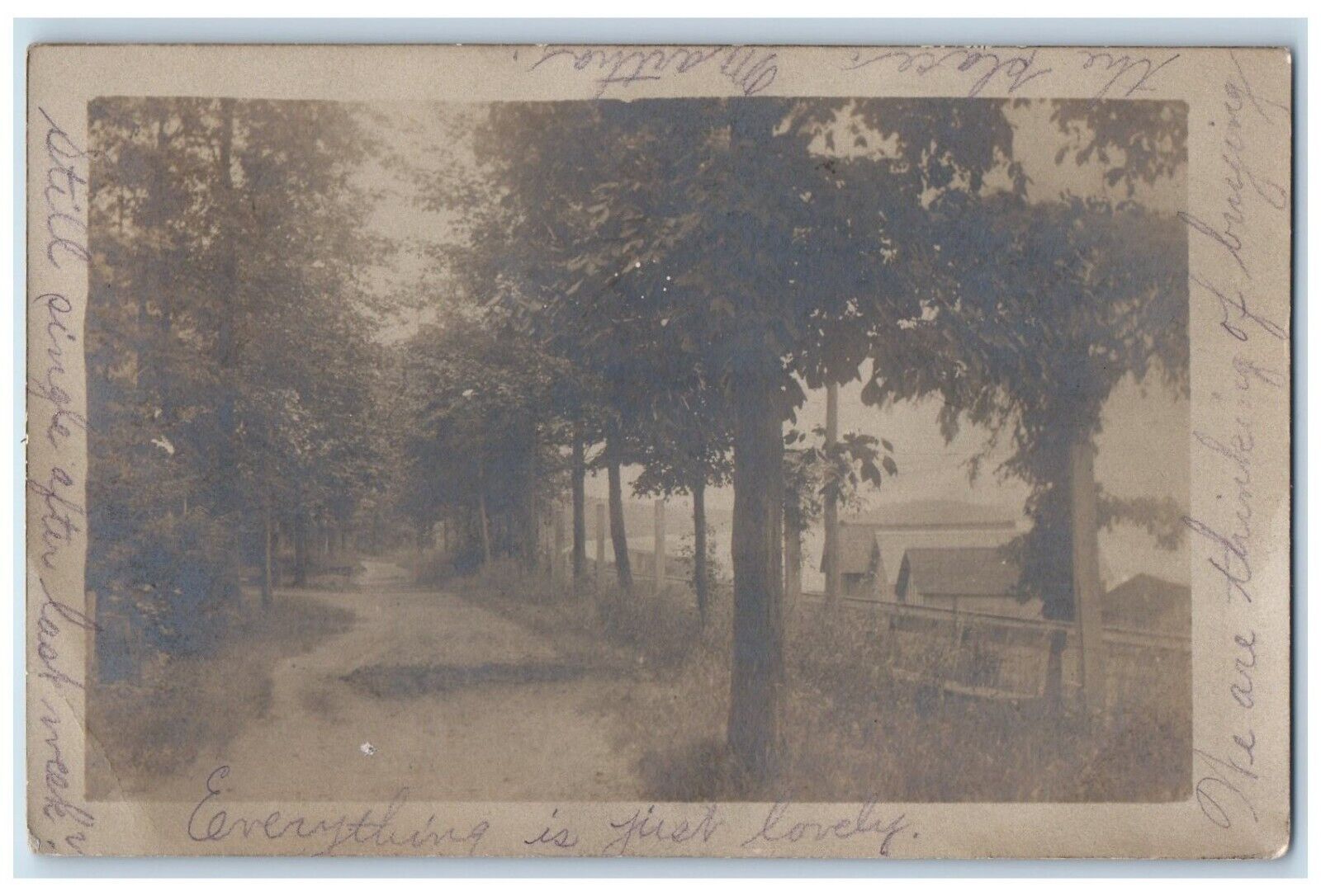 1905 View Of Dirt Road And Trees Silver Lake New York NY RPPC Photo Postcard