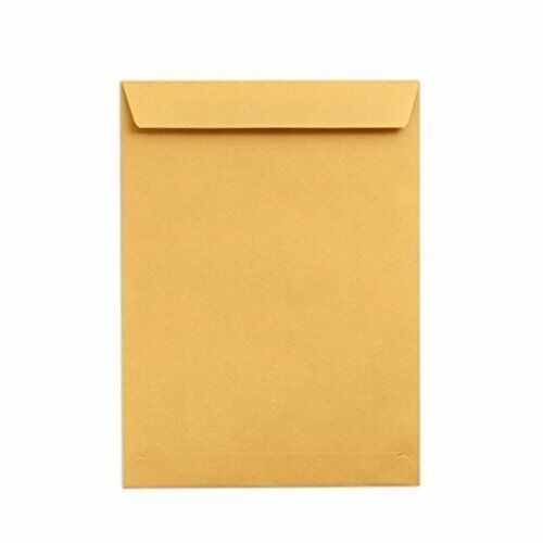 10 x 12 Envelope Size A4 Size Envelopes For Home Office Secure Mailing (25 PAck)
