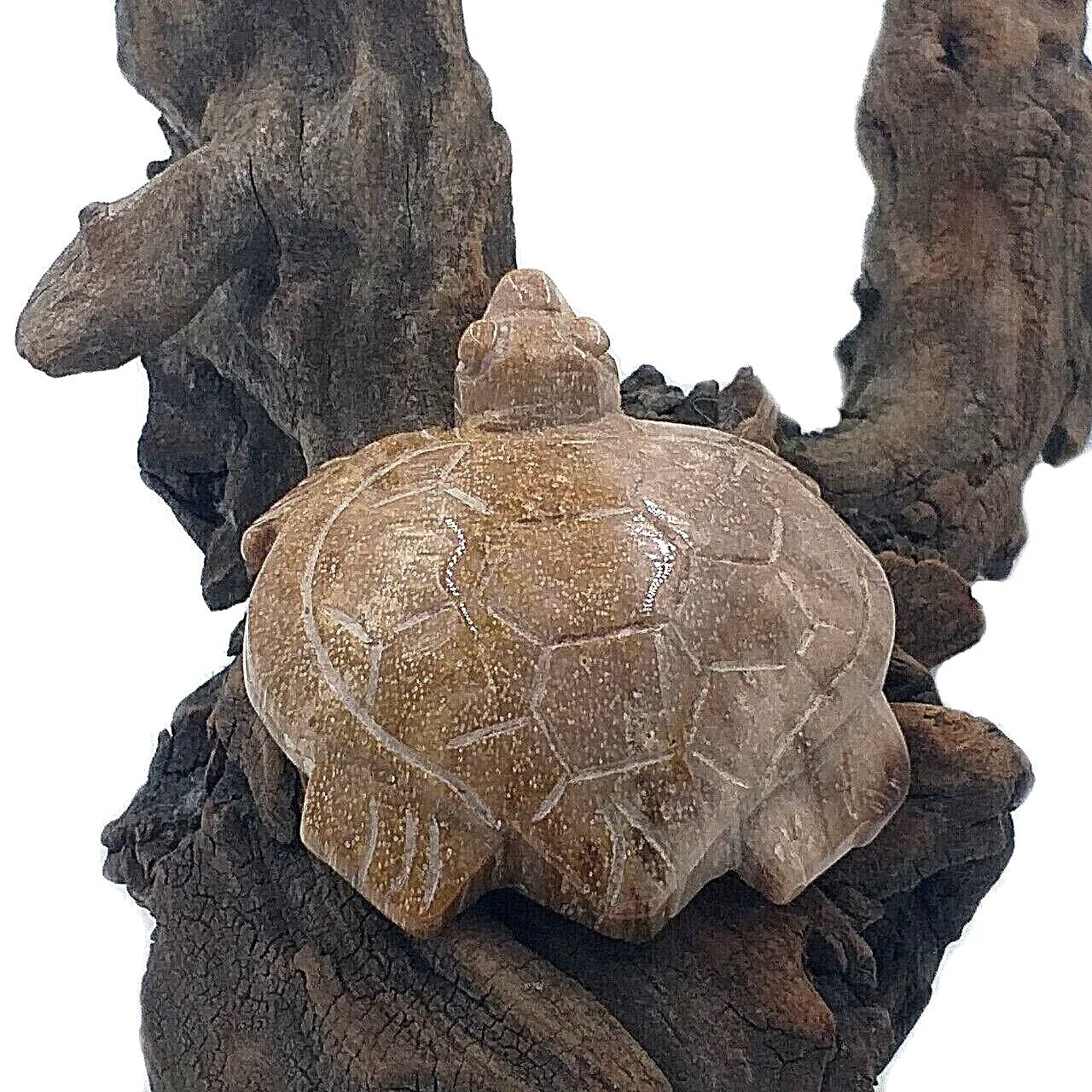 Wood petrified turtle statue stone carving charm heart handmade collect rare 