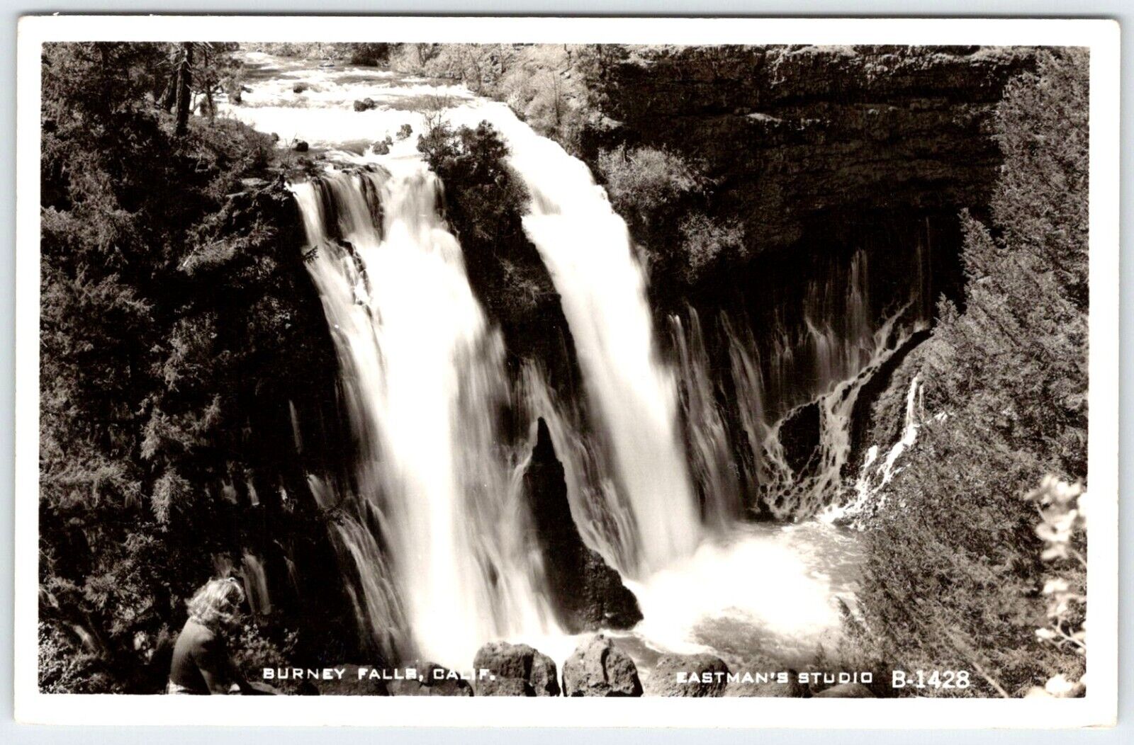 Burney Falls California Vintage Real Photo Postcard AF219