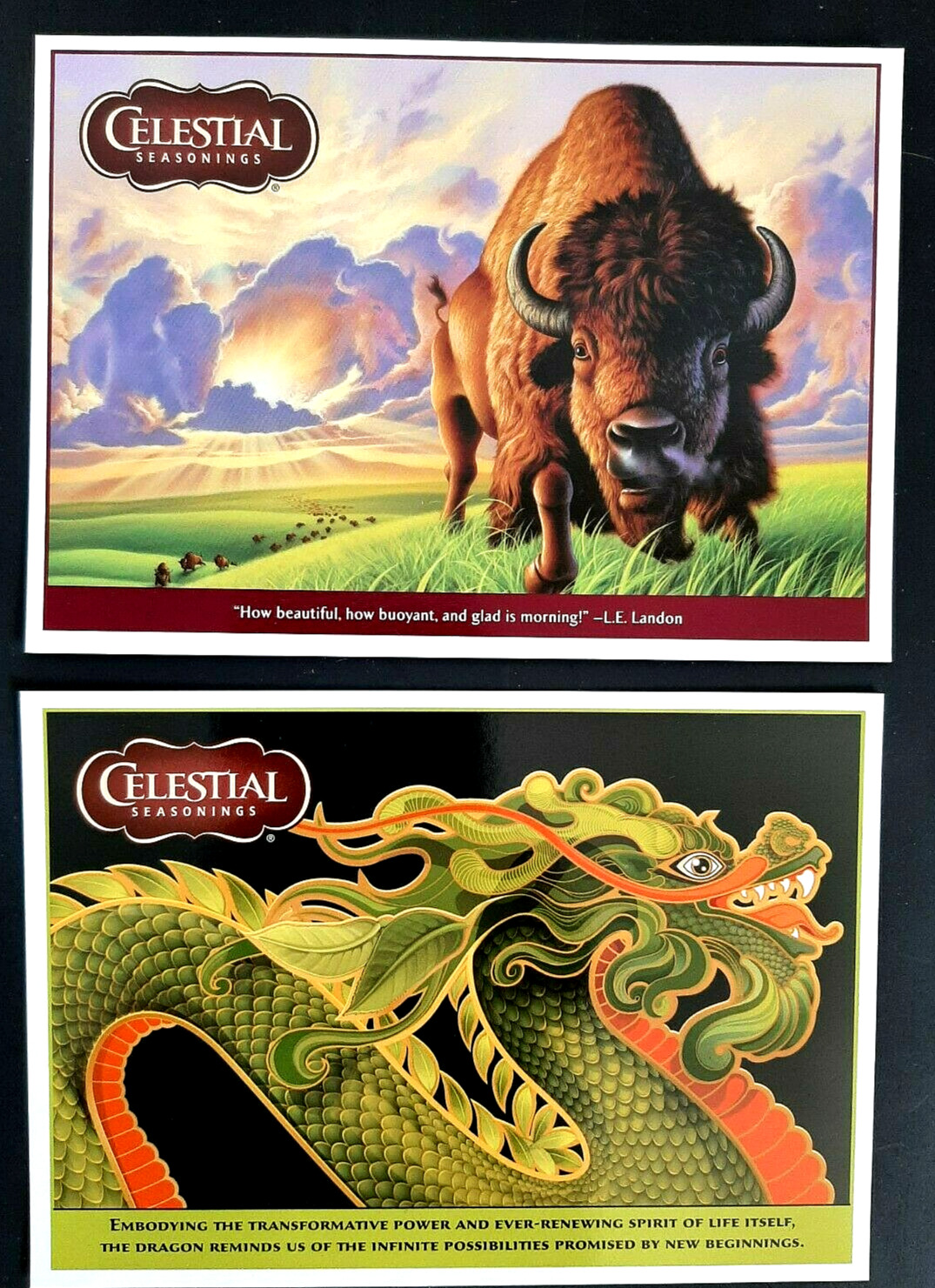 CELESTIAL SEASONINGS Post Cards-Morning Thunder & Authentic Green-10 total cards
