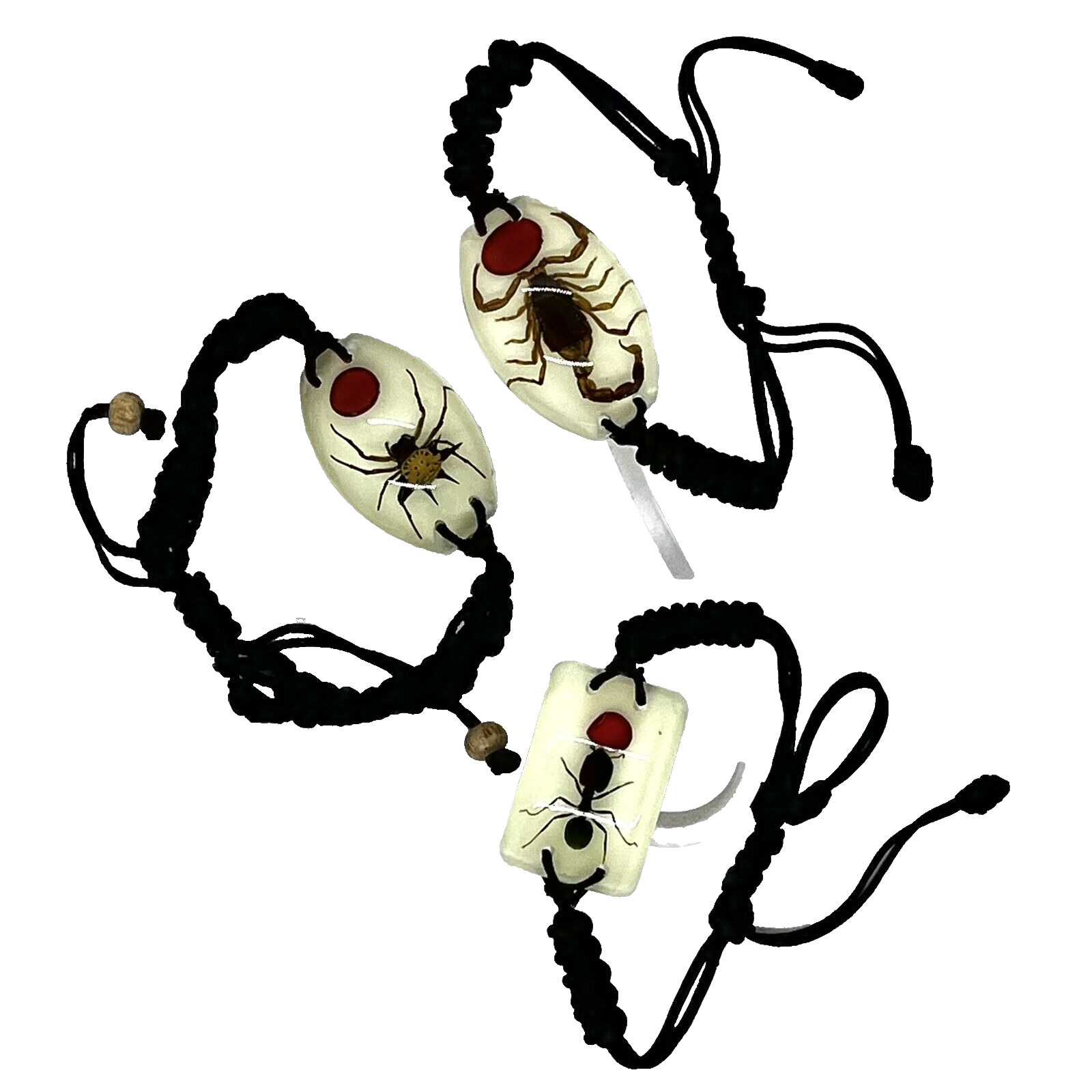 Insect ( Spider, Ant, Scorpion) Glow Bracelet in Resin Specimen Collection 3 pcs