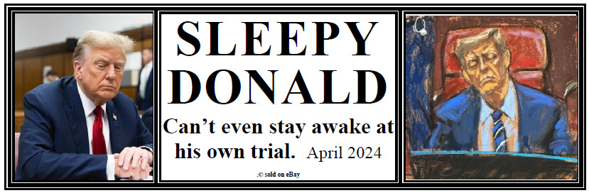 anti Trump: SLEEPY DONALD  in court April 2024   political bumper sticker