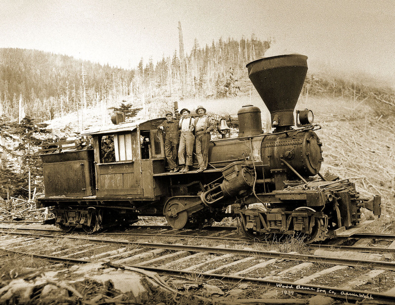 1927 Acme Logging Co. Train, Acme, Washington Old Photo 8.5\