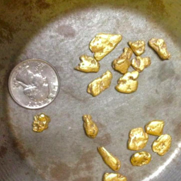 Unlock Your Gold Panning Potential with Our High-Quality Paydirt Concentrates