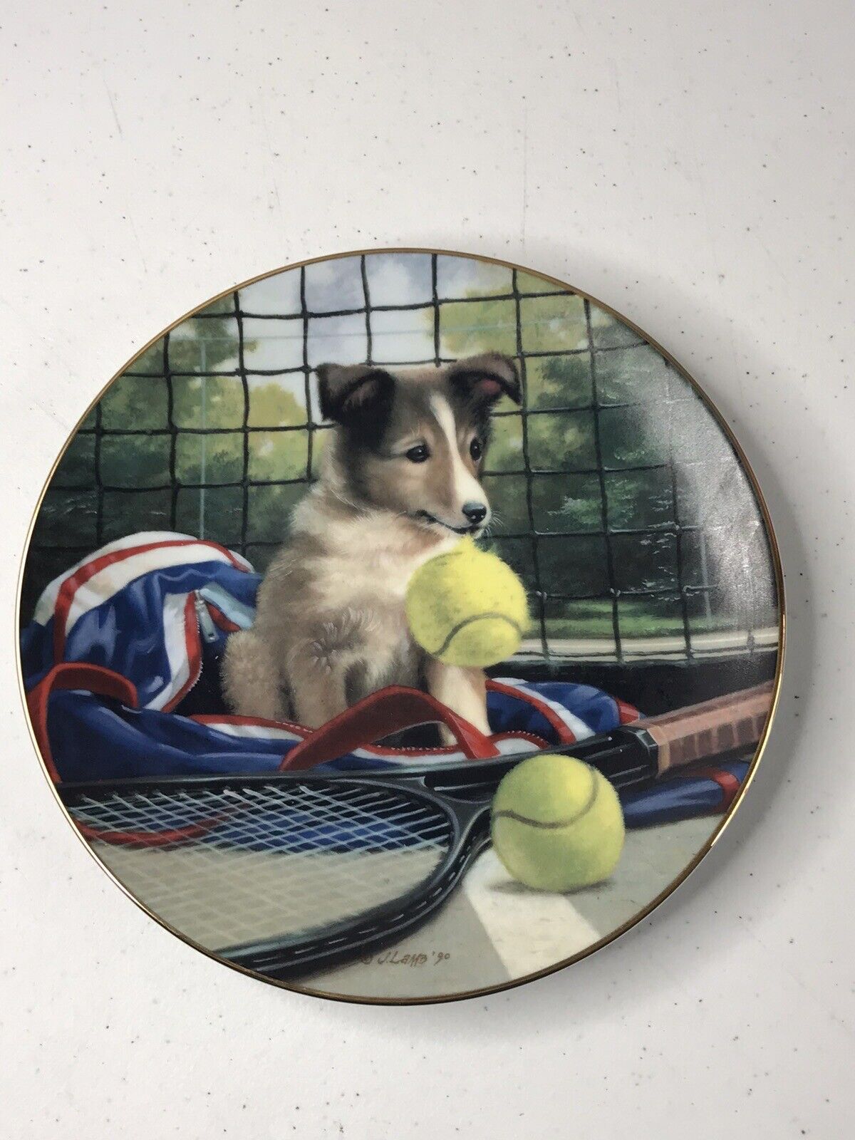 Net Play Good Sports Plate Collection Decorative Plate Limited Ed 1990 # 3078A