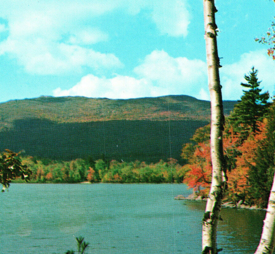 Mount Monadnock Region Thorndyke Pond Scenery Nature Lake NH Vintage Postcard