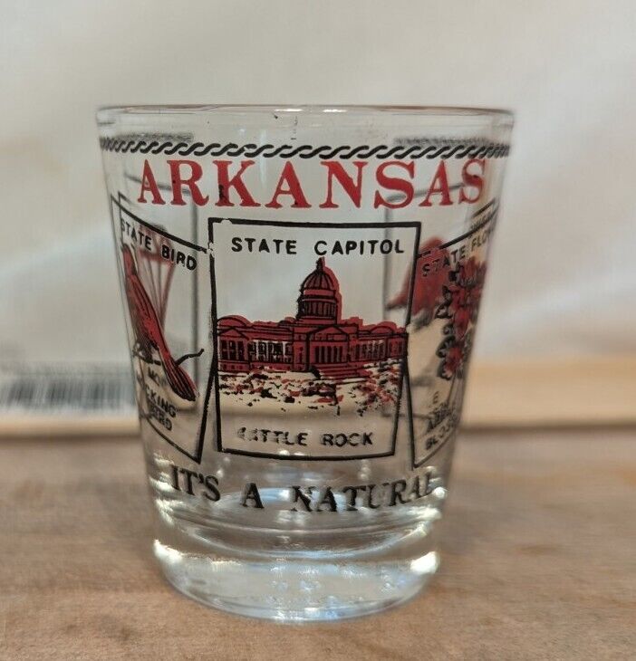 Arkansas State Shot Glass Vacation Travel Souvenir Bar Alcohol State Facts Clear